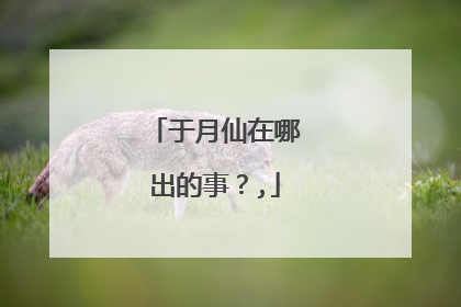 于月仙在哪出的事?,