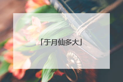 于月仙多大