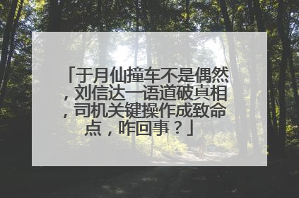 于月仙撞车不是偶然,刘信达一语道破真相,司机关键操作成致命点,咋回事?