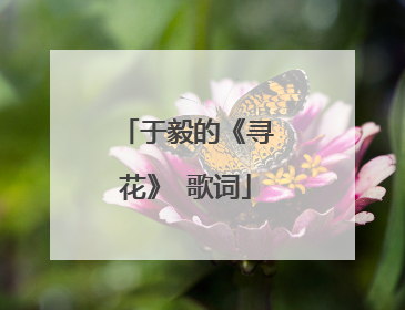 于毅的《寻花》 歌词