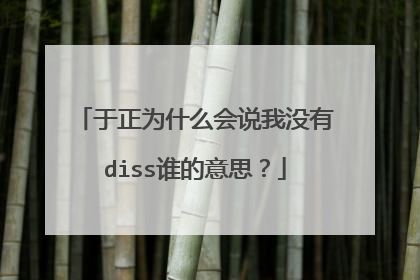 于正为什么会说我没有diss谁的意思?