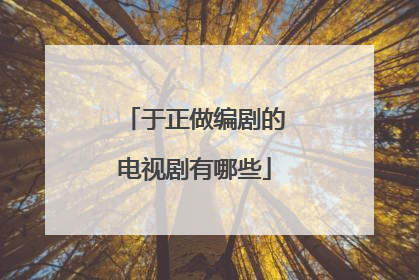 于正做编剧的电视剧有哪些