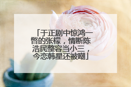 于正剧中惊鸿一瞥的张檬,情断陈浩民整容当小三,今恋韩星还被嘲