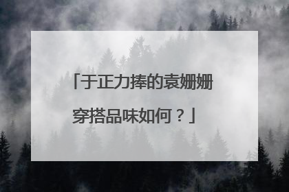 于正力捧的袁姗姗穿搭品味如何？