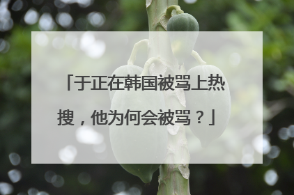于正在韩国被骂上热搜，他为何会被骂？