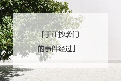 于正抄袭门的事件经过