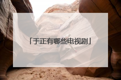 于正有哪些电视剧