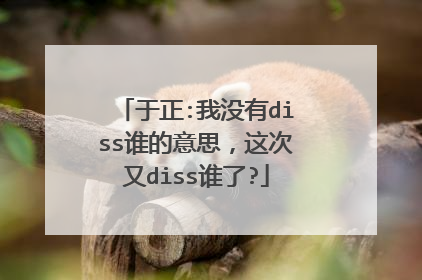 于正:我没有diss谁的意思,这次又diss谁了?
