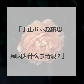 于正diss赵露思是因为什么事情呢?