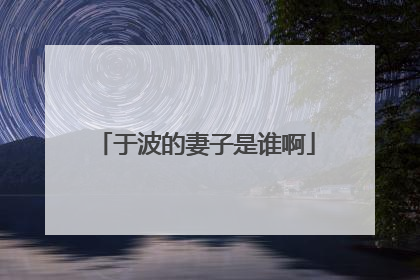 于波的妻子是谁啊