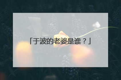 于波的老婆是谁？
