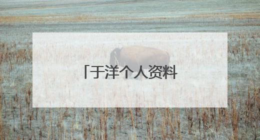 于洋个人资料 于洋简介