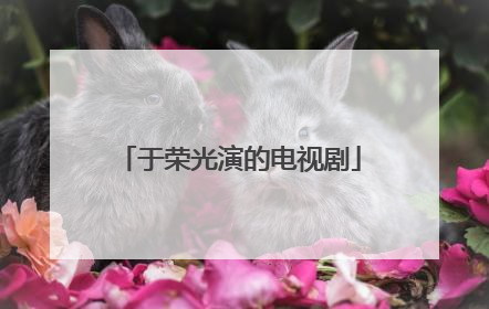 于荣光演的电视剧