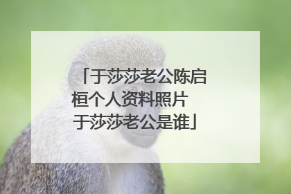 于莎莎老公陈启桓个人资料照片 于莎莎老公是谁