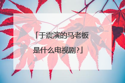 于震演的马老板是什么电视剧?