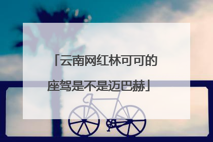 云南网红林可可的座驾是不是迈巴赫