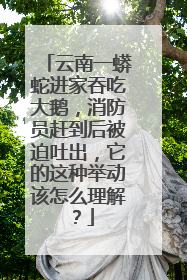 云南一蟒蛇进家吞吃大鹅,消防员赶到后被迫吐出,它的这种举动该怎么理解?