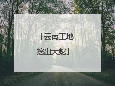 云南工地挖出大蛇