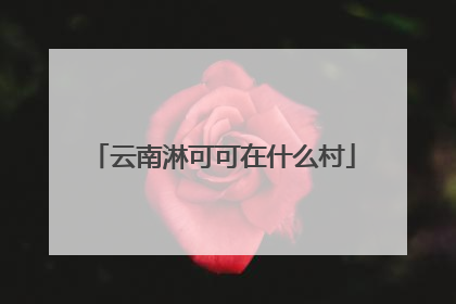 云南淋可可在什么村