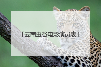 云南虫谷电影演员表
