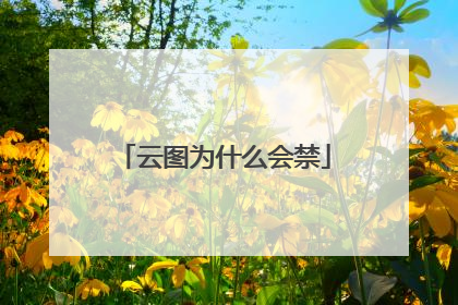 云图为什么会禁