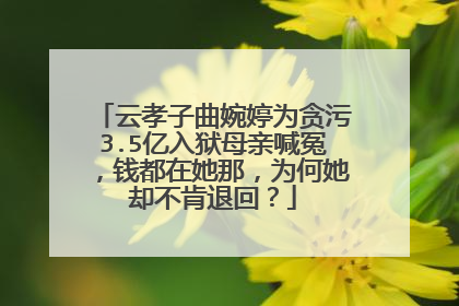 云孝子曲婉婷为贪污3.5亿入狱母亲喊冤，钱都在她那，为何她却不肯退回？