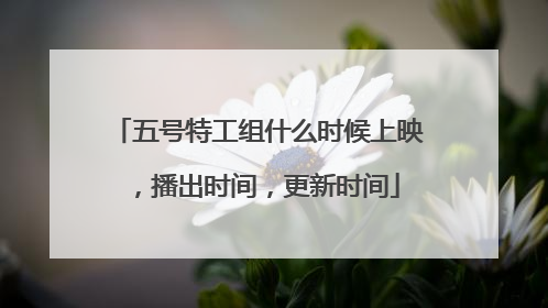 五号特工组什么时候上映，播出时间，更新时间