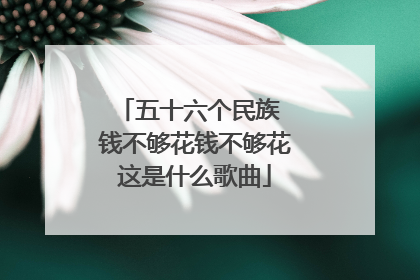 五十六个民族 钱不够花钱不够花这是什么歌曲