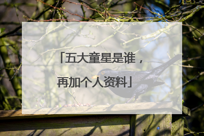 五大童星是谁，再加个人资料