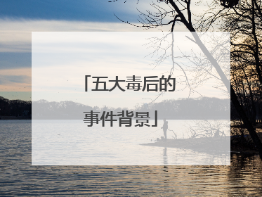 五大毒后的事件背景