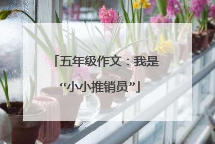 五年级作文：我是“小小推销员”