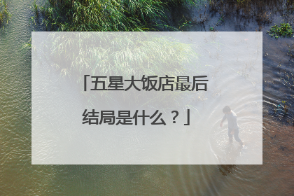 五星大饭店最后结局是什么？