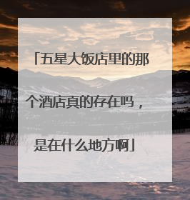 五星大饭店里的那个酒店真的存在吗,是在什么地方啊