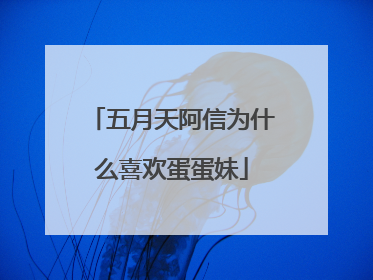 五月天阿信为什么喜欢蛋蛋妹