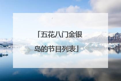 五花八门金银岛的节目列表