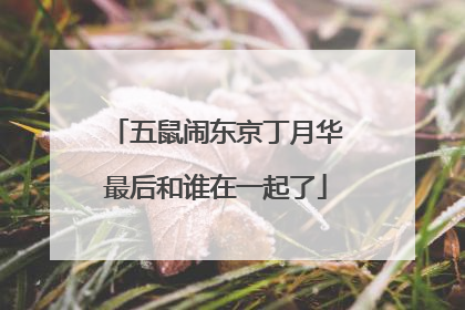 五鼠闹东京丁月华最后和谁在一起了