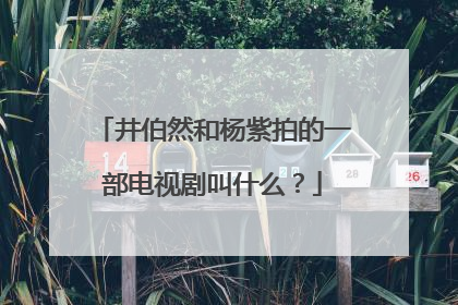 井伯然和杨紫拍的一部电视剧叫什么?