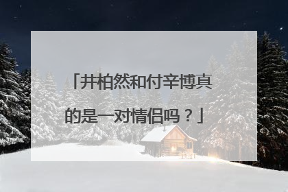 井柏然和付辛博真的是一对情侣吗？