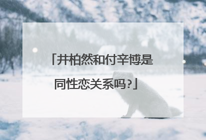 井柏然和付辛博是同性恋关系吗?