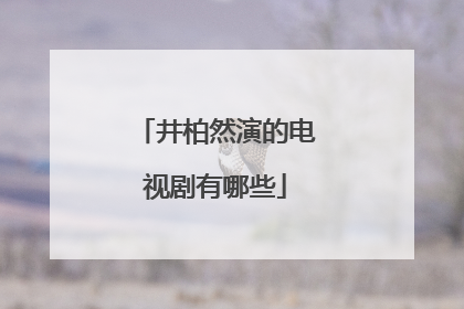 井柏然演的电视剧有哪些