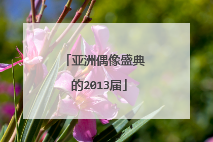 亚洲偶像盛典的2013届