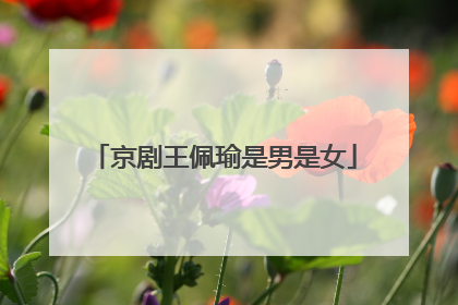 京剧王佩瑜是男是女