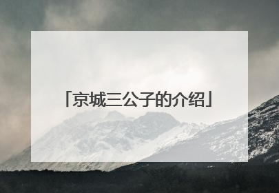 京城三公子的介绍