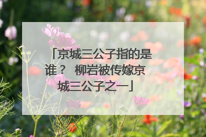 京城三公子指的是谁？ 柳岩被传嫁京城三公子之一