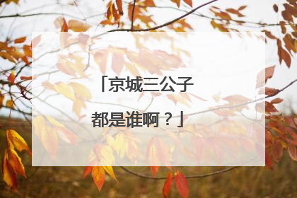 京城三公子都是谁啊？