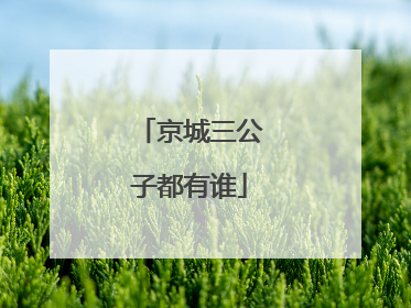 京城三公子都有谁
