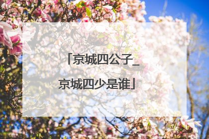 京城四公子_京城四少是谁