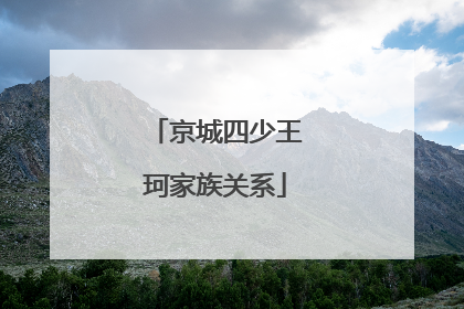 京城四少王珂家族关系