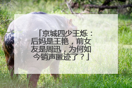 京城四少王烁:后妈是王艳,前女友是周迅,为何如今销声匿迹了?