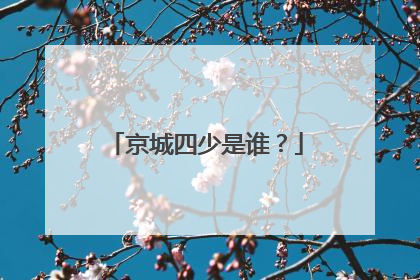 京城四少是谁？